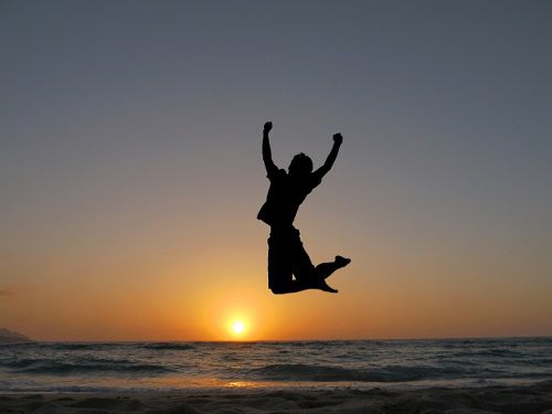 JAVHDに入会すると楽しめる人